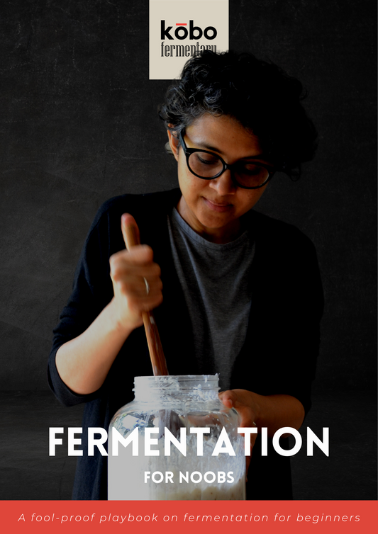 Fermentation for Noobs - A fool-proof playbook on fermentation for beginners