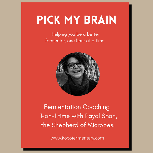 Pick my brain! Fermentation coaching.