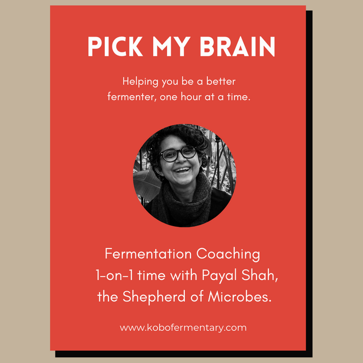 Pick my brain! Fermentation coaching. – kobofermentary