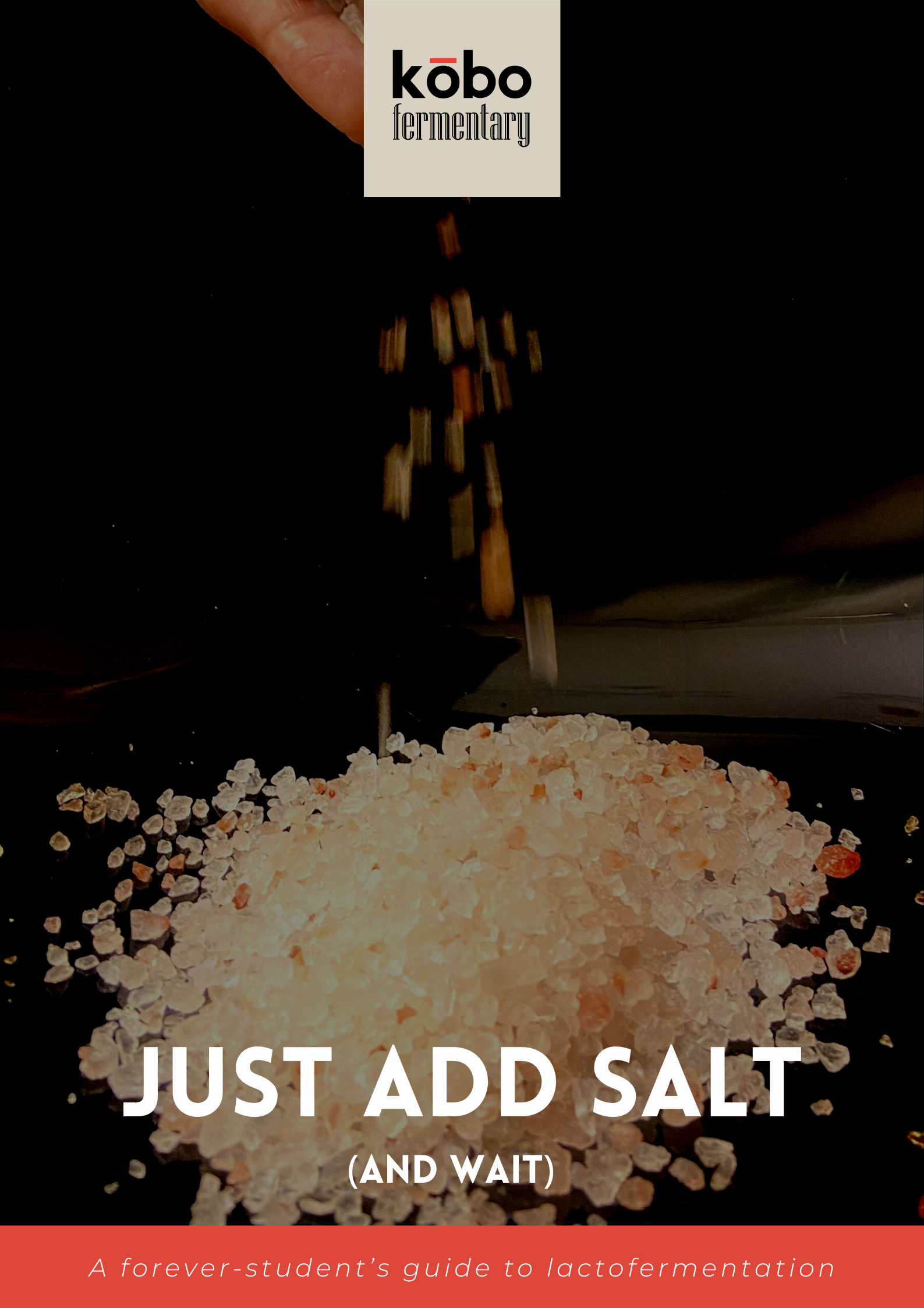 Salt Maths Just Add Salt (and wait!) – kobofermentary